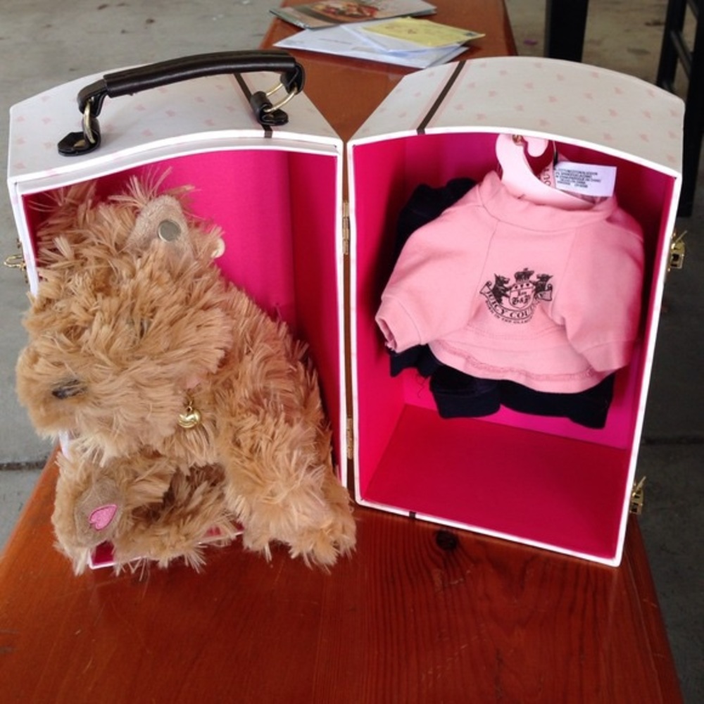 FOUND Juicy Couture Dog Closet 🐶👗